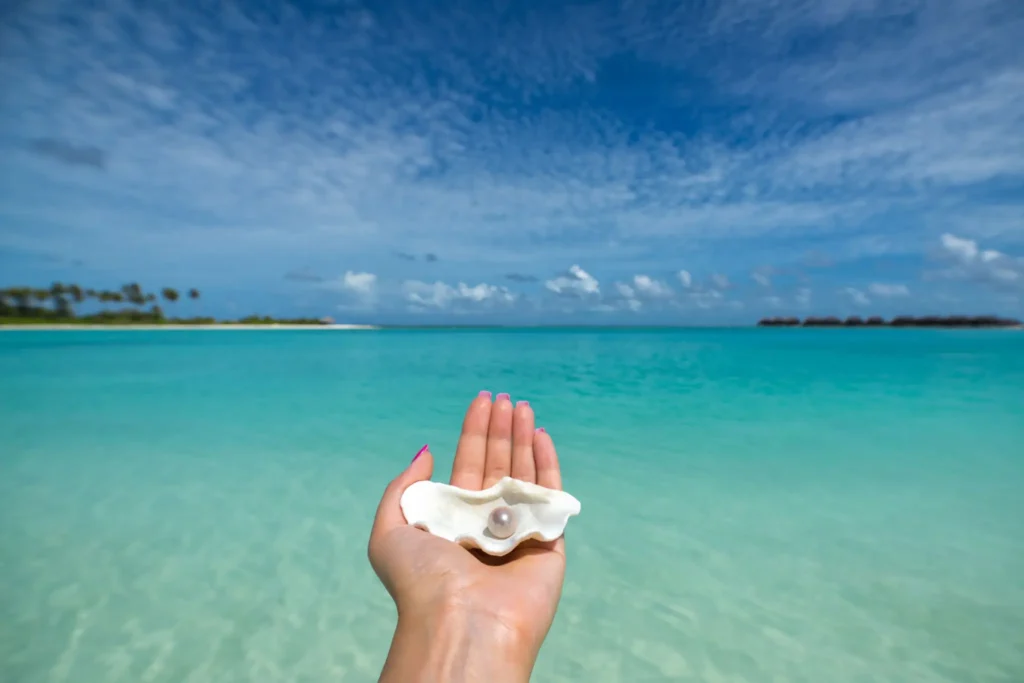 Hand holding seashells with turquoise ocean and blue sky in the background.